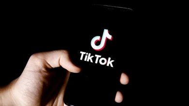 TikTok Videolarından Logo Kaldırma