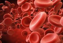 Trombosit Nedir? Trombosit Yüksekliği ve Düşüklüğü Ne Anlama Gelir?