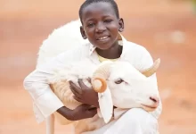 Vacip Kurbanı Nedir