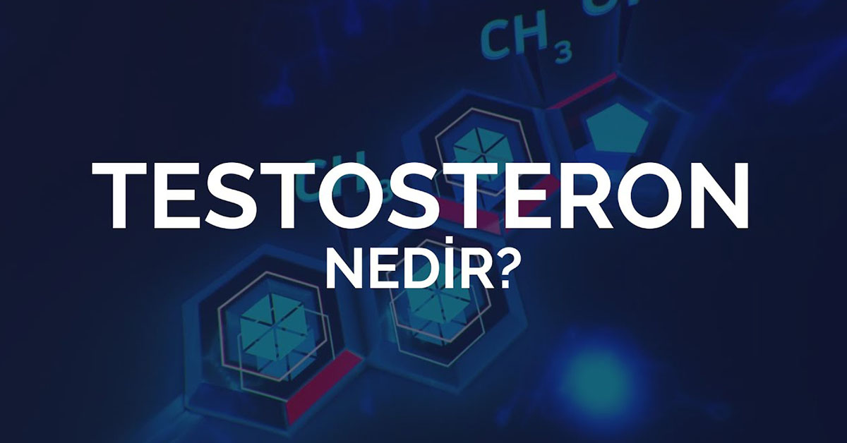 Testosteron Nedir