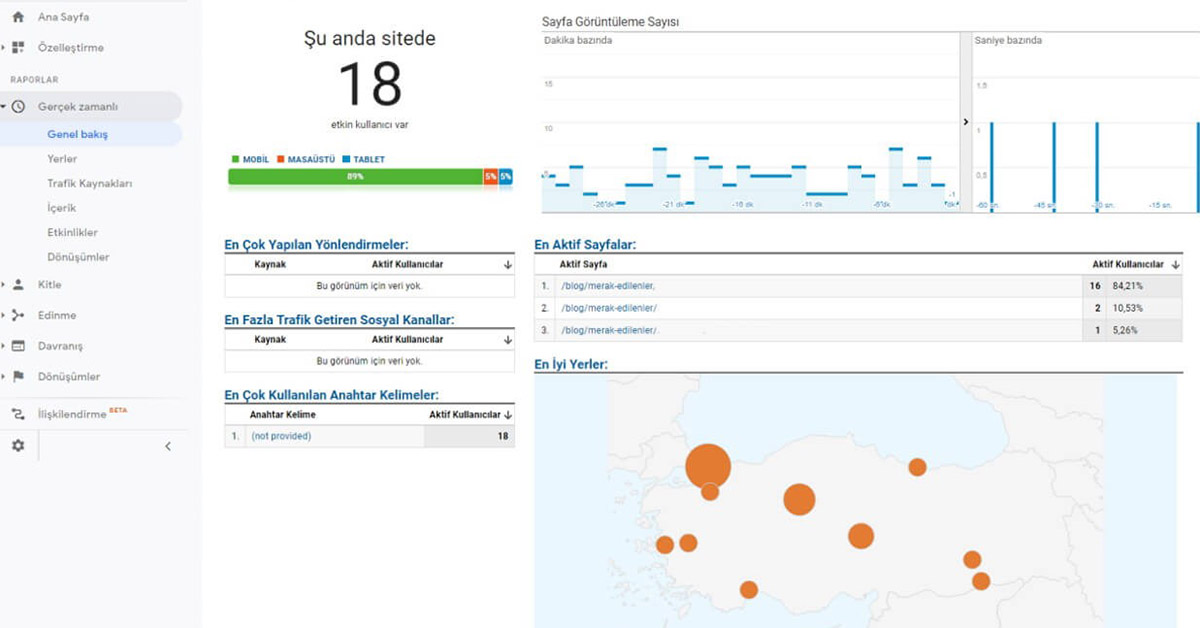 google analytics ana sayfasi