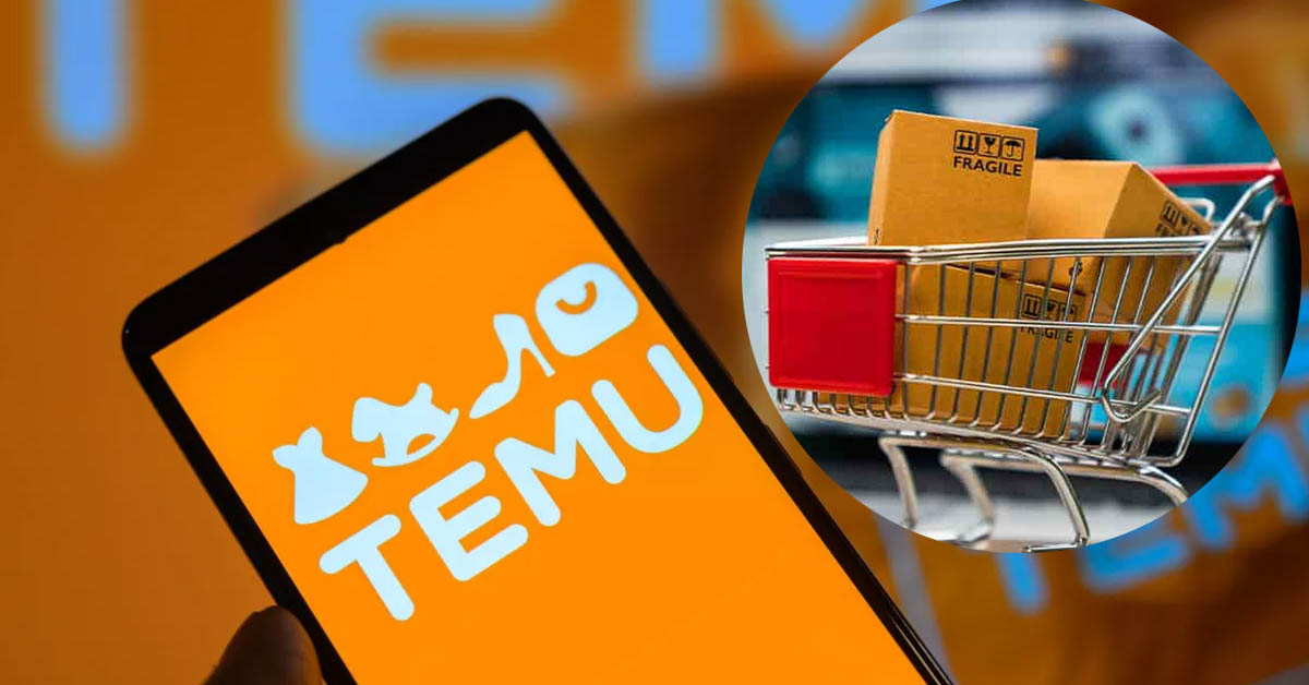 temuda ne satilir