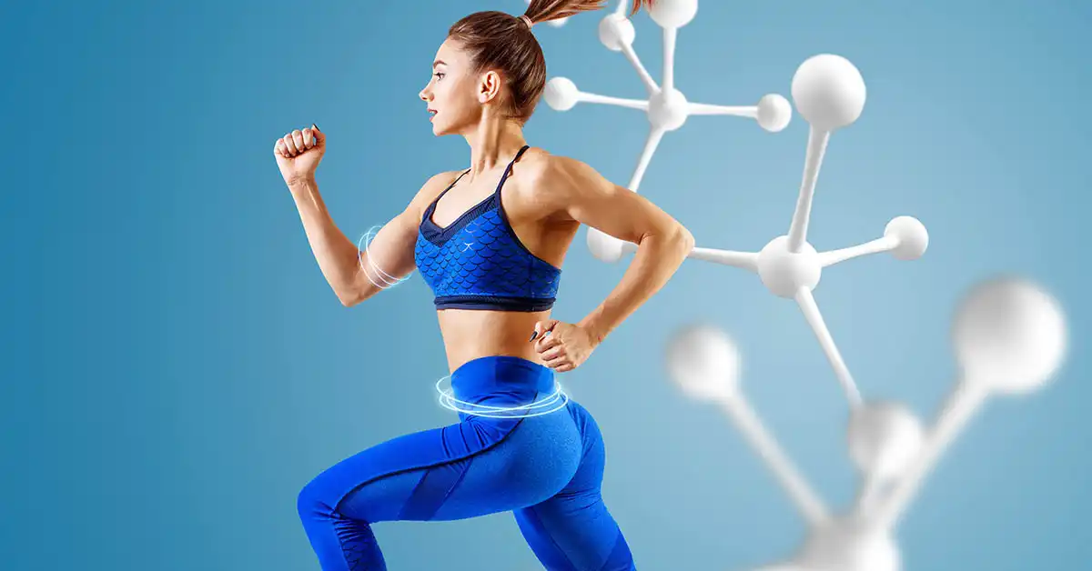 metabolizma nedir