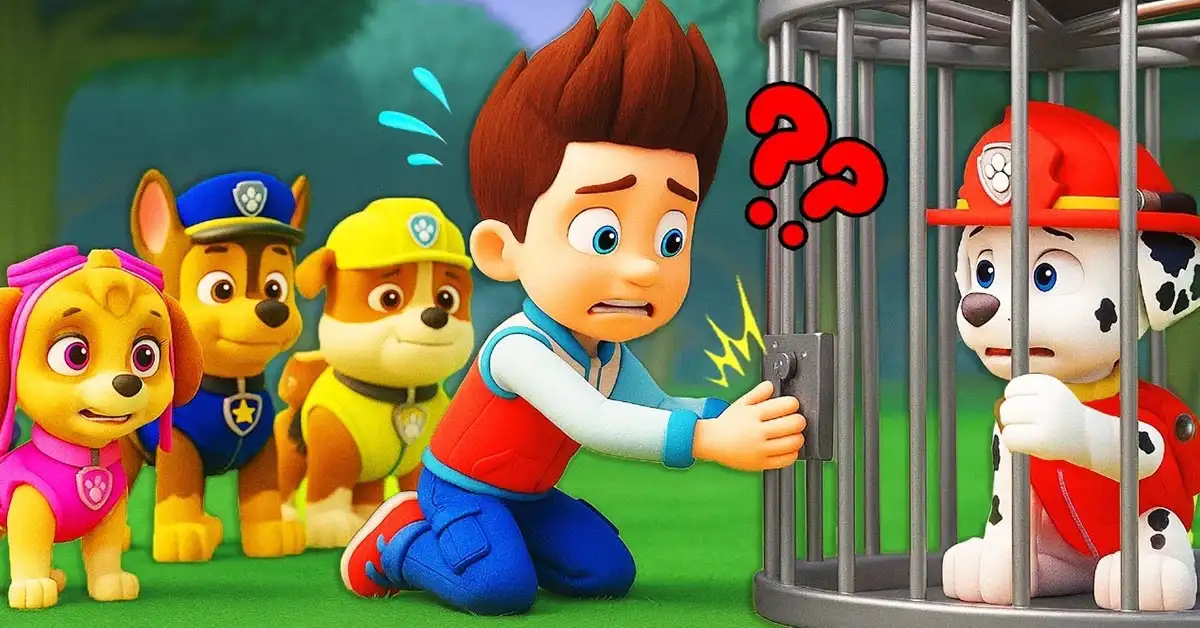 paw patrol 3