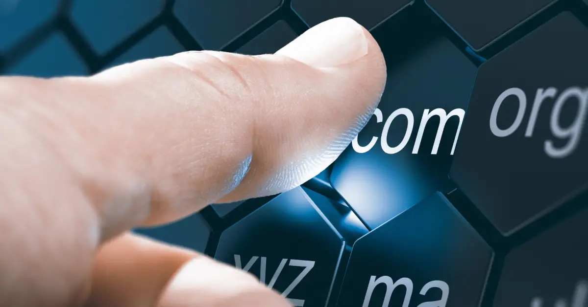 Domain Ne İşe Yarar