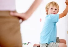 Dürtüsellik Nedir?