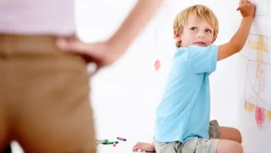 Dürtüsellik Nedir?