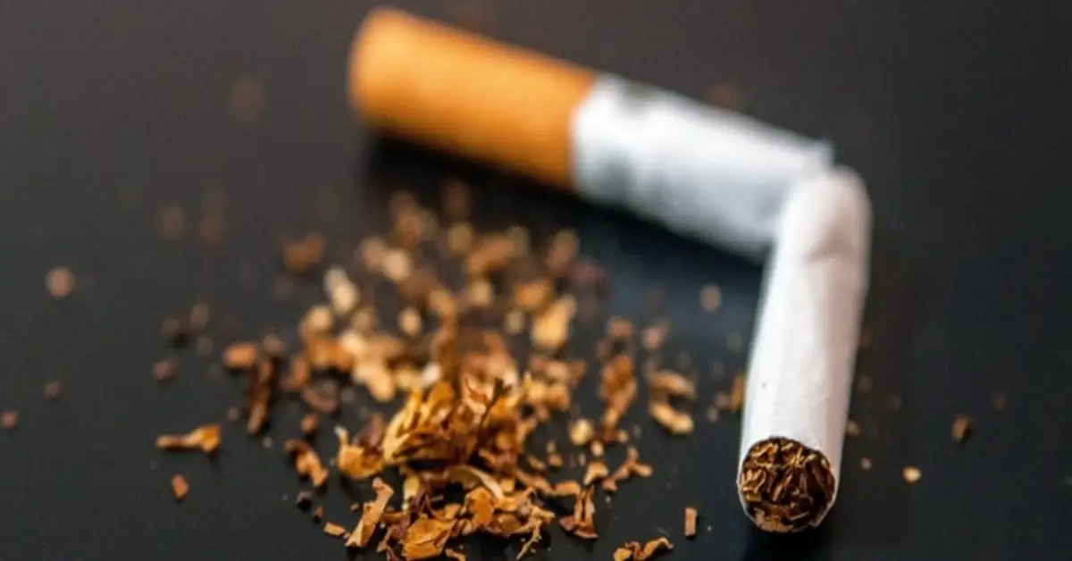 Nikotin Zehirlenmesi Nedir?