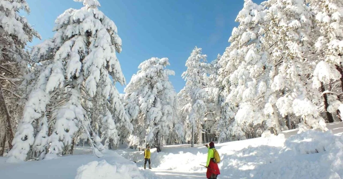 Balıkesir – Kaz Dağları